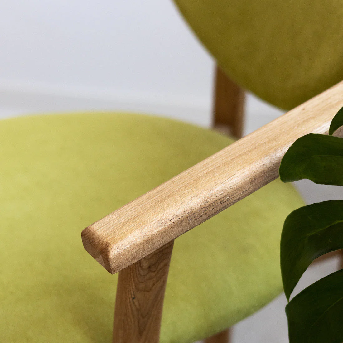 Pack de 2 o 4 Sillas de Comedor Alexis, Estructura de Madera Maciza de Roble, Tapizado en Color Verde Vida | NordicStory - Image 6