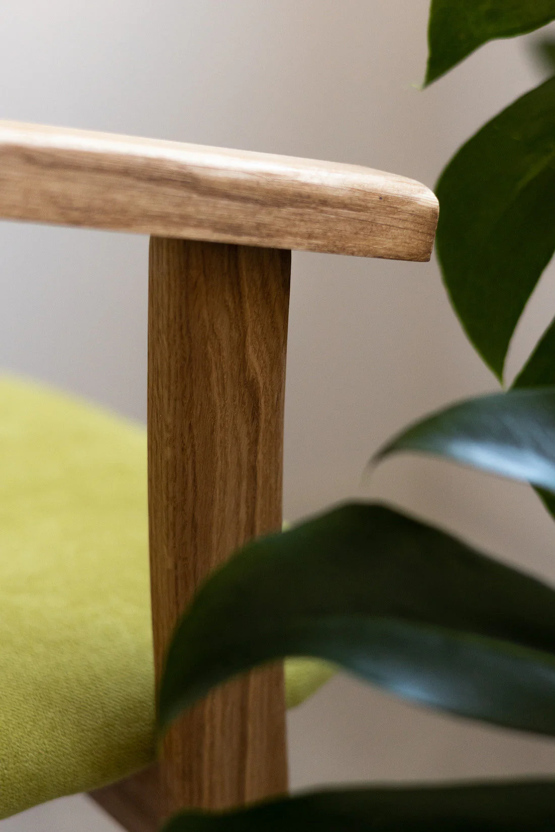Pack de 2 o 4 Sillas de Comedor Alexis, Estructura de Madera Maciza de Roble, Tapizado en Color Verde Vida | NordicStory - Image 8