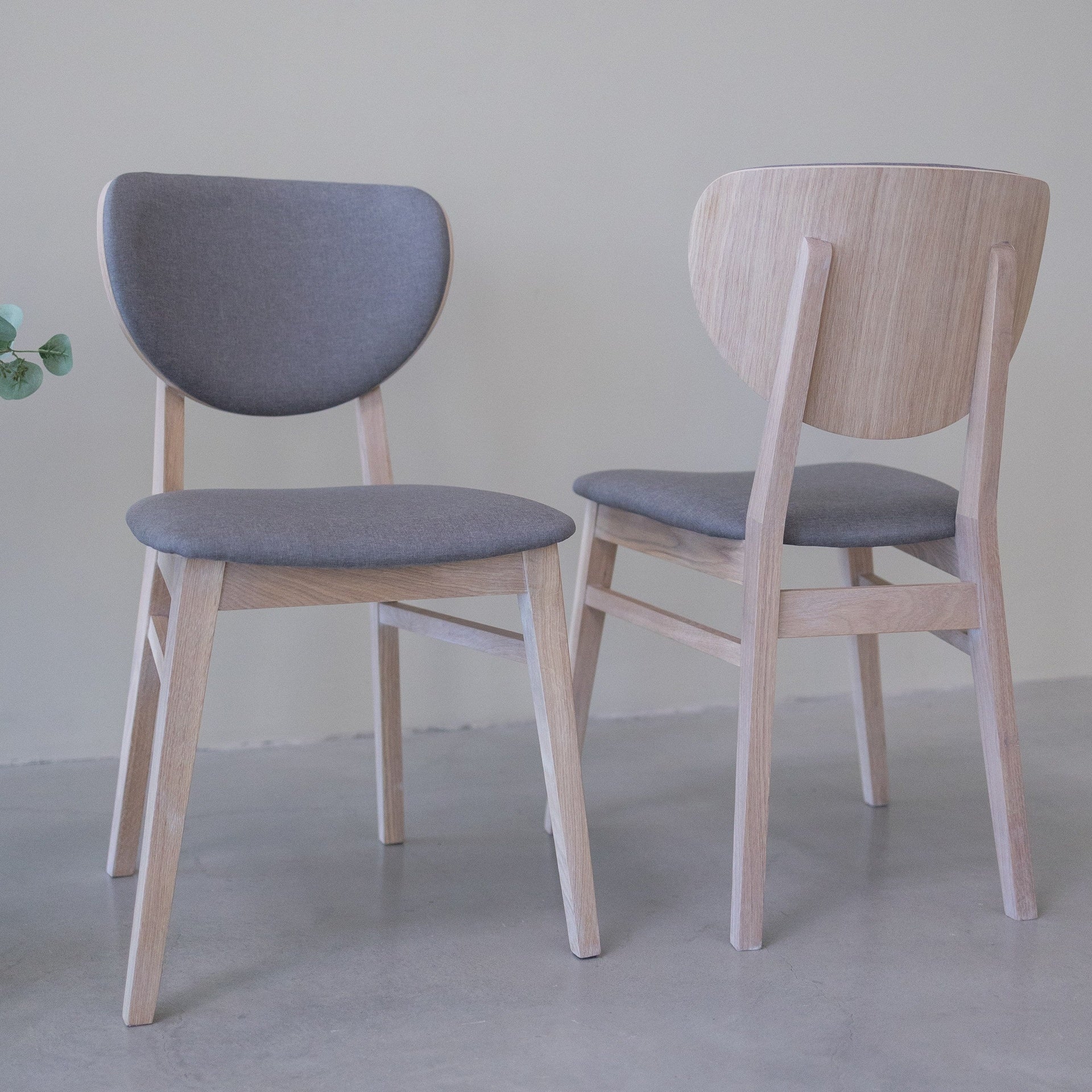 Pack de 2 o 4 Sillas de Comedor Nova, Estructura de Madera Maciza de Roble Blanqueado | NordicStory - Image 7