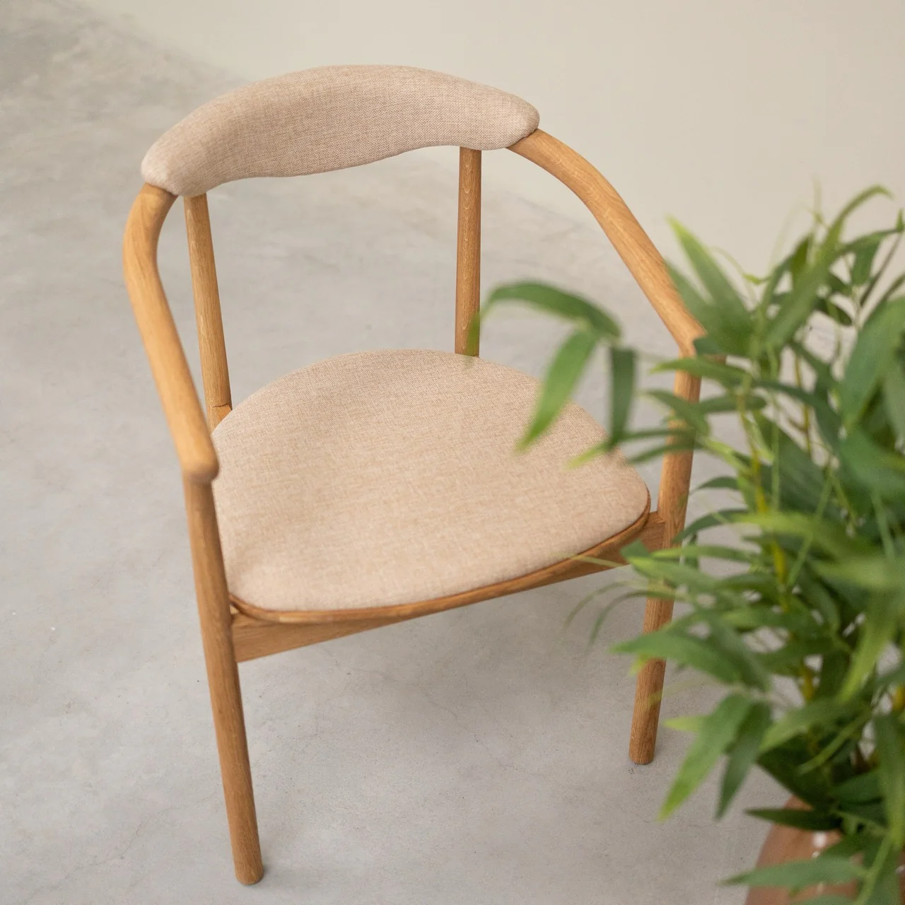 Pack de 2 o 4 Sillas de Comedor Lord, Estructura de Madera Maciza de Roble | NordicStory - Image 9
